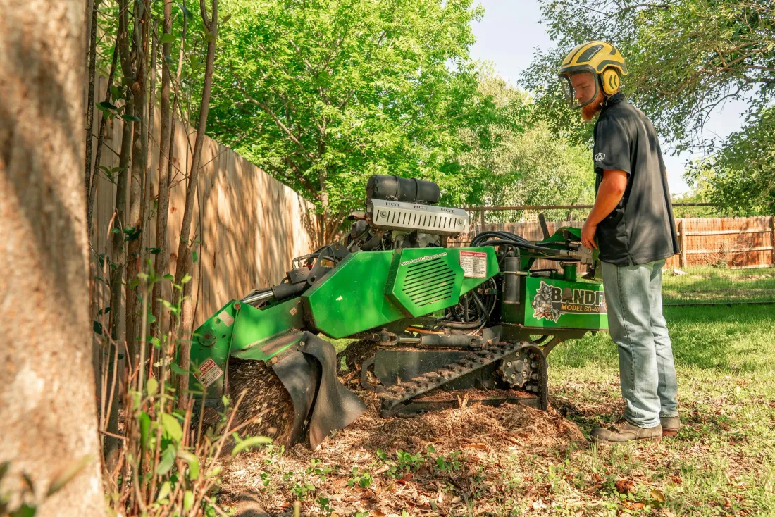 A worker in a helmet steering a tracked stump grinder into a backyard alongside a wooden fence
